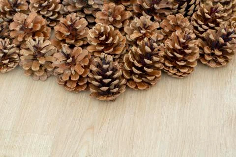Pine cones background Stock Photos