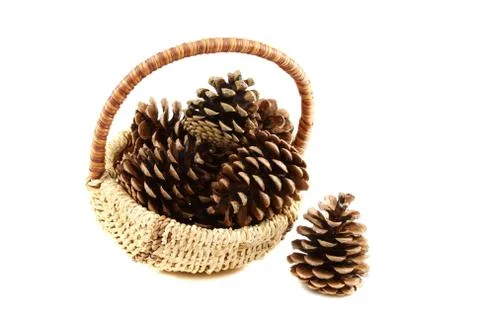 Pine cones in basket. Stock Photos