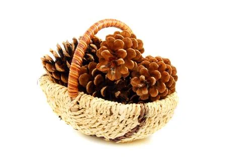 Pine cones in a basket. Stock Photos