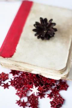 Pine cones on book on white table. Stock Photos
