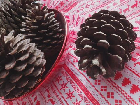 Pine cones in a bowl Stock Photos