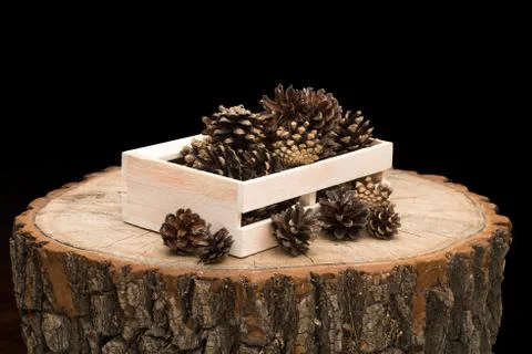 Pine cones in a box on the table Stock Photos