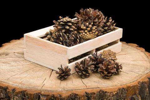 Pine cones in a box on the table Stock Photos