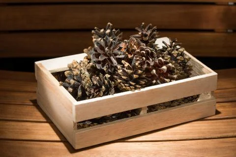Pine cones in a box on the table Stock Photos