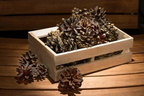 Pine cones in a box on the table Stock Photos