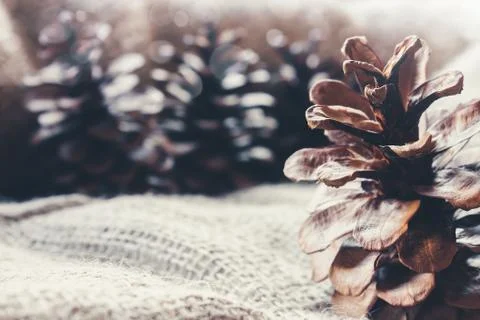 Pine cones on a burlap cloth Stock Photos