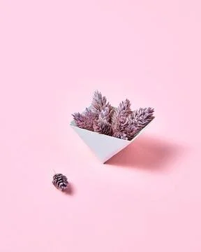 Pine cones in a cardboard triangular box on a pink background with copy sp... Stock Photos