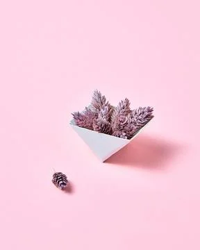 Pine cones in a cardboard triangular box on a pink background with copy spa.. Stock Photos