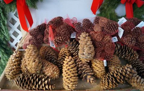 Pine Cones for Christmas Decorations Stock Photos