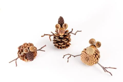 Pine cones combined with natural elements for seasonal crafts, capturing th.. Stock Photos
