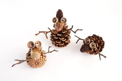 Pine cones combined with natural elements for seasonal crafts, capturing th.. 스톡 사진