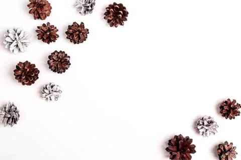Pine cones with copy space on white background. Flat lay. Stock Photos