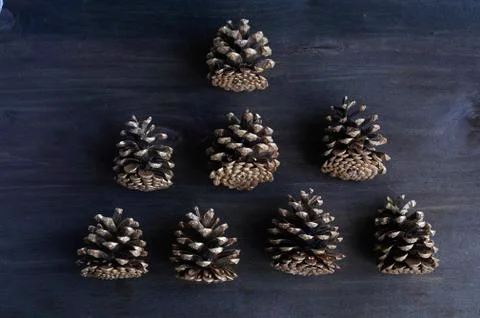 Pine cones on a dark background Stock Photos