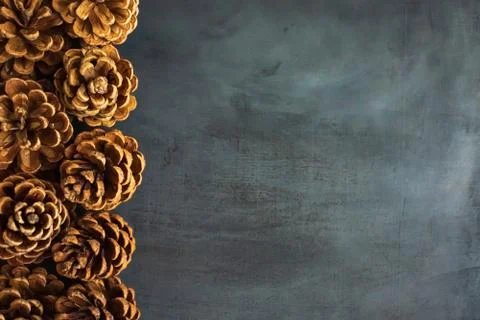 Pine cones on dark background Stock Photos