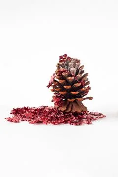 Pine cones decorating garland elements on white background. Foto stock