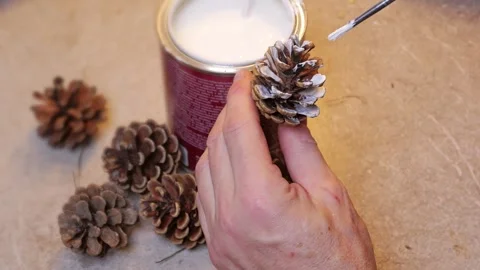 Pine Cones decorating with white Paint for Christmas Project 库存影片 295995567
