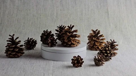 Pine cones of a different sizes on burlap background. Close-up.  Stock Footage 312235601