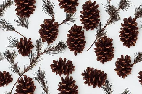 Pine cones festive background with fir branch, seamless pattern. Digital illu Stock Illustration