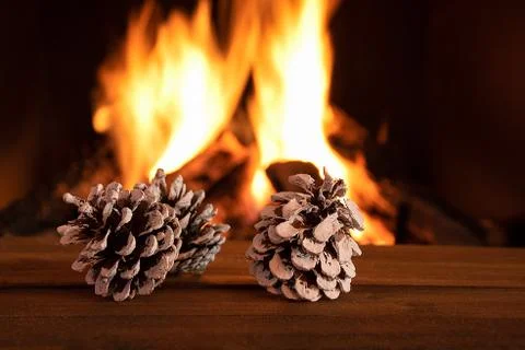 Pine cones with fireplace background Stock Photos
