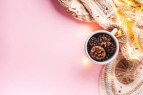Pine cones in a gray enameled cup, flatlay Stock Photos
