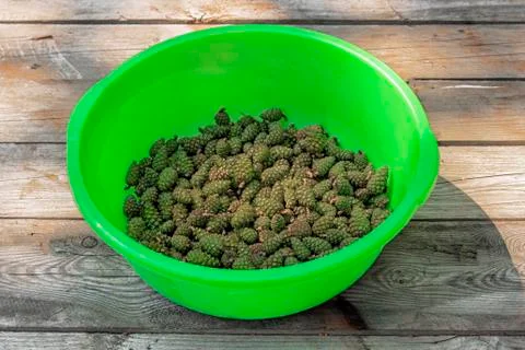 Pine cones in a green basin. Stock Photos
