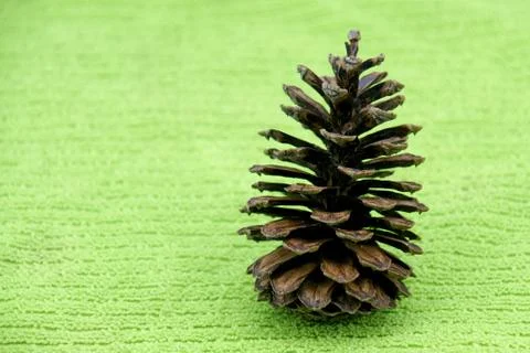 The pine cones on green fabric background Stock Photos