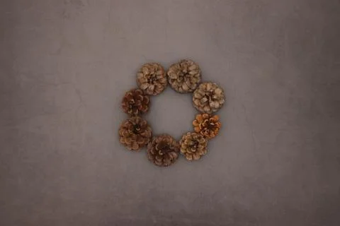 Pine cones on grey background 스톡 사진