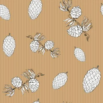 Pine cones hand drawn sketch retro, vintage Seamless Pattern. Vector Illustra Stock Illustration
