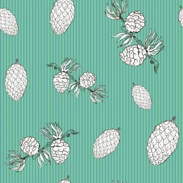 Pine cones hand drawn sketch retro, vintage Seamless Pattern. Vector Illustra Stock Illustration