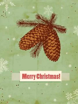 Pine cones Stock Illustration