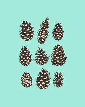 Pine cones illustration Stock Illustration