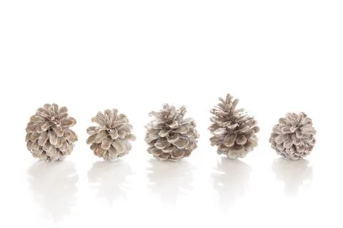 Pine cones isolated on a white background for christmas Stock Photos