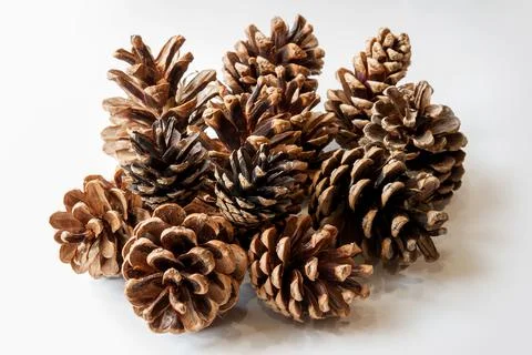 Pine cones isolated on white background Stockfoto's