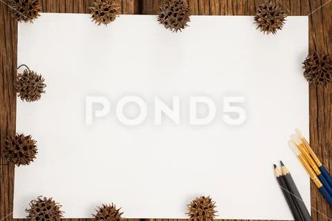 Pine cones kept on the border of white drawing paper Stock Photos