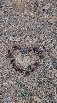 Pine cones laid out in the shape of a heart, horizontal photo Foto stock