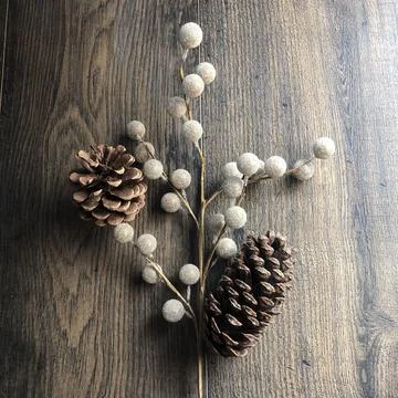 Pine Cones, monochrome Stock Photos