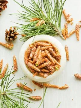 Pine cones in mortar Stock Photos