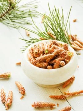 Pine cones in mortar Stock Photos
