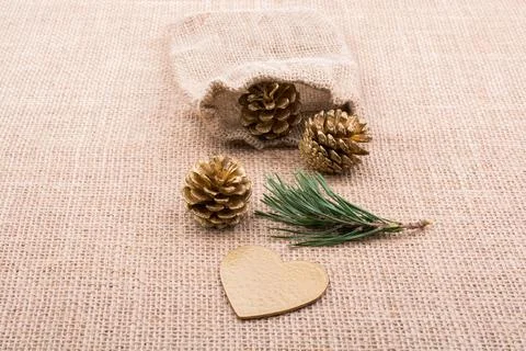 Pine cones out of sack on a canvas 库存照片