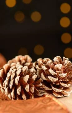 Pine cones over decorative ribbon and wood with dark background and small lig Stock Photos