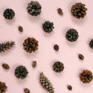 Pine cones pattern background. flat lay, top view Foto stock