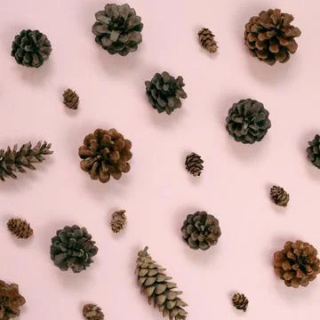 Pine cones pattern background. flat lay, top view Pine cones pattern backg... Stock Photos