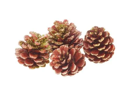 Pine cones Stock Photos