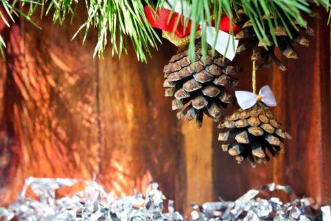 Pine cones Fotos de archivo