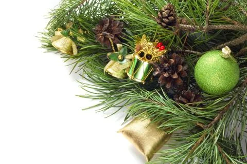 Pine with cones Stock Photos