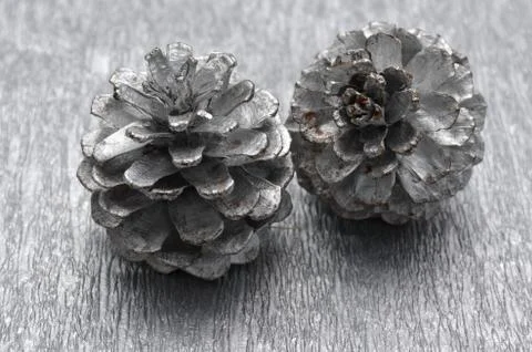 Pine cones Stock Photos