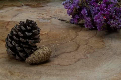 Pine Cones Foto stock