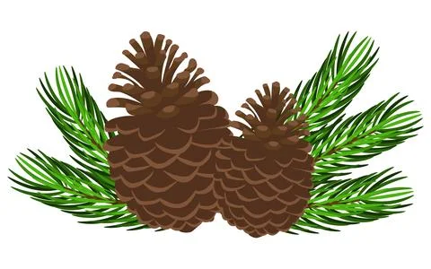 Pine cones with pine branches isolated on white background. Vector illustrati Stock Illustration