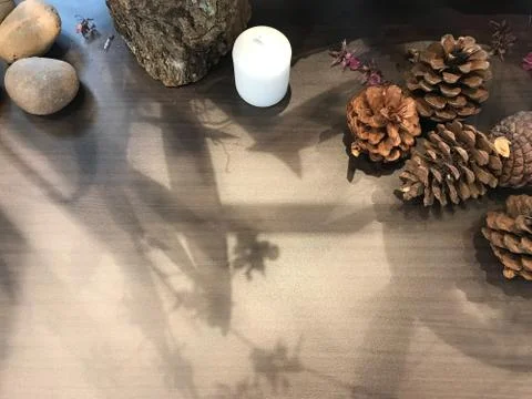 Pine cones, rocks, white candle, dried violet flower, part of tree log on table Stock-Fotos