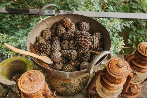 Pine cones in a rusty iron pan Ideas to decorate vintage style Stock Photos